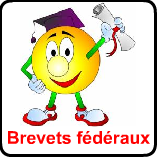 Brevet federal 1